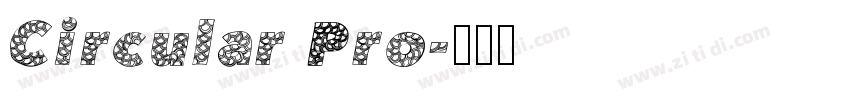 Circular Pro字体转换